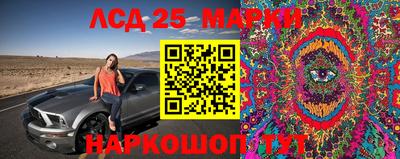 мяу мяу мука Среднеуральск