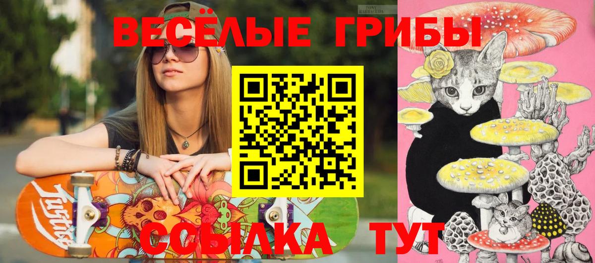 Галлюциногенные грибы мицелий Петропавловск-Камчатский